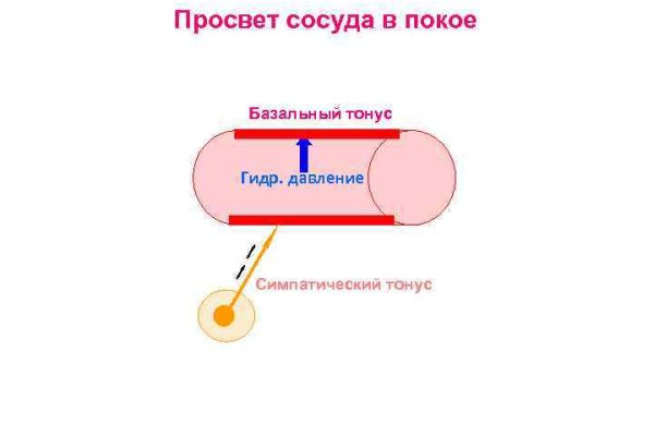 Кракен даркнет текст