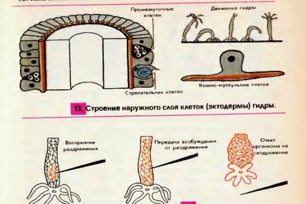 Что такое кракен магазин